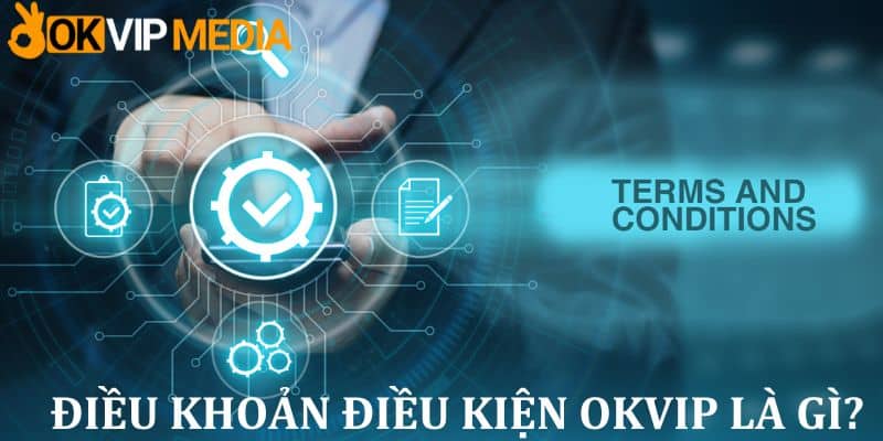 Điều Khoản VS Điều Kiện Okvip