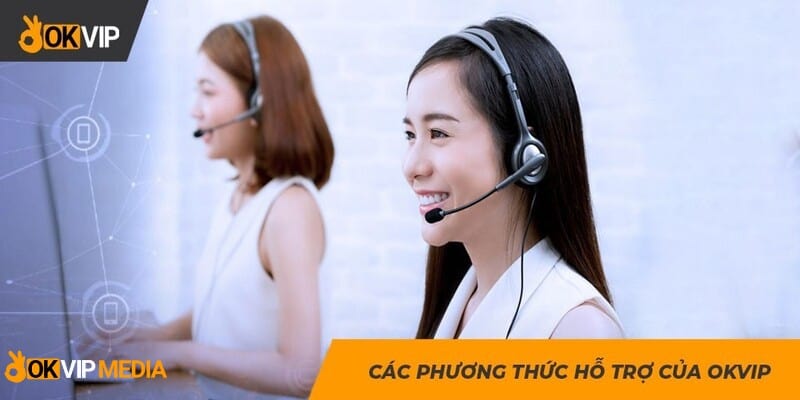 Cách liên hệ OKVIP MEDIA hỗ trợ nhanh chóng