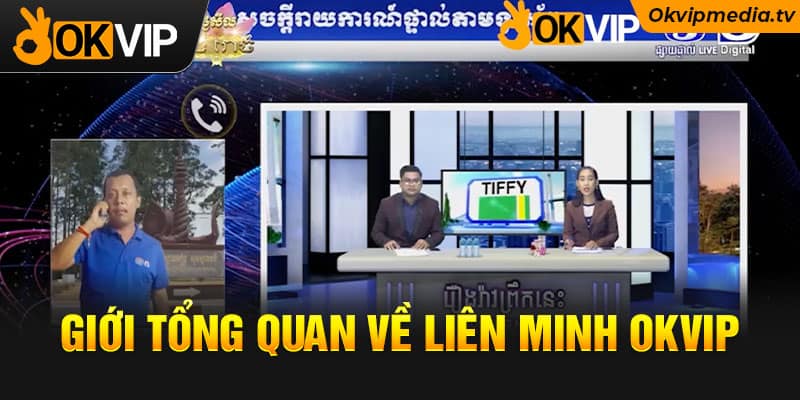 Giới tổng quan về liên minh OKVIP