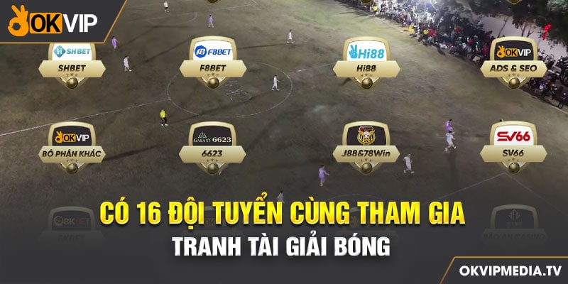 Có 16 đội tuyển cùng tham gia tranh tài giải bóng