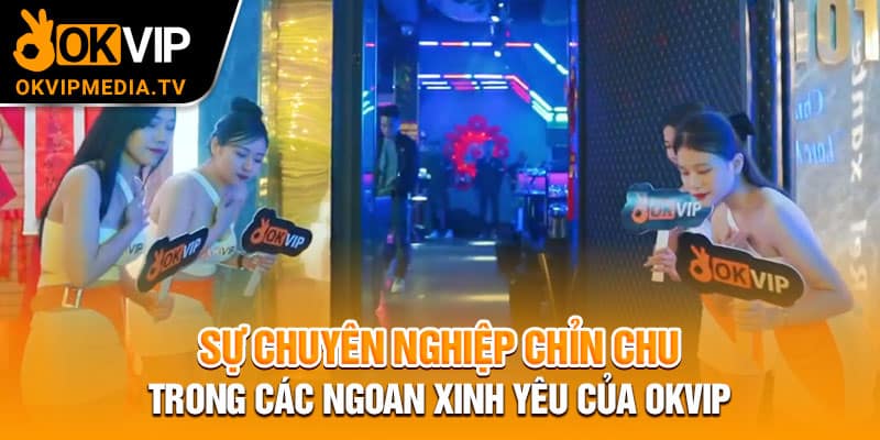 Sự chuyên nghiệp chỉn chu trong các ngoan xinh yêu của OKVIP