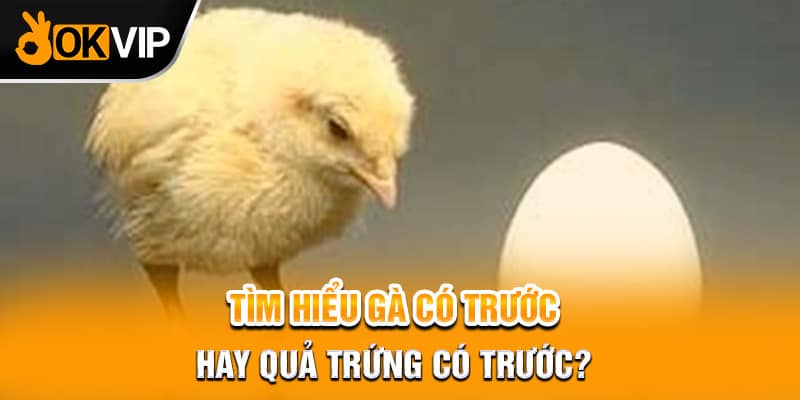 Tìm hiểu gà có trước hay quả trứng có trước?