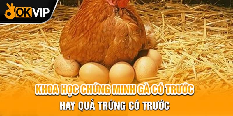 Khoa học chứng minh gà có trước hay quả trứng có trước