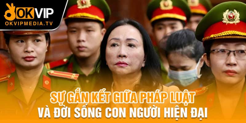 Sự gắn kết giữa pháp luật và đời sống con người hiện đại