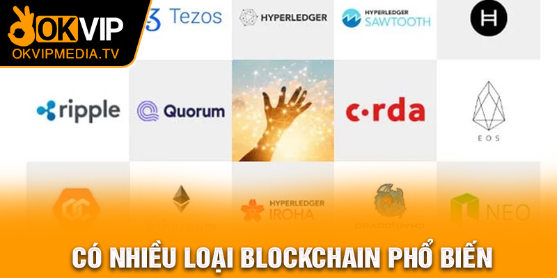 Có nhiều loại blockchain phổ biến