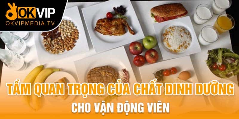 Tầm quan trọng của chất dinh dưỡng cho vận động viên 