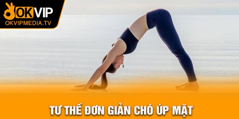 Tư thế đơn giản chó úp mặt