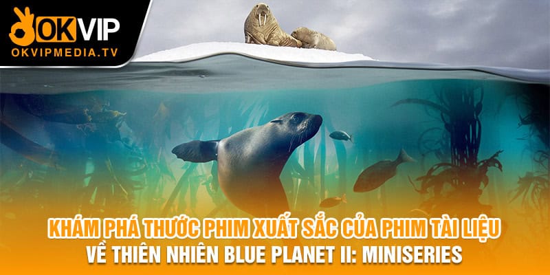 Khám phá phim tài liệu về thiên nhiên xuất sắc Blue Planet Ii: Miniseries 