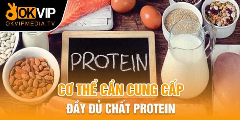 Cơ thể cần cung cấp đầy đủ chất protein