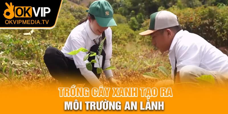 Trồng cây xanh tạo ra môi trường an lành