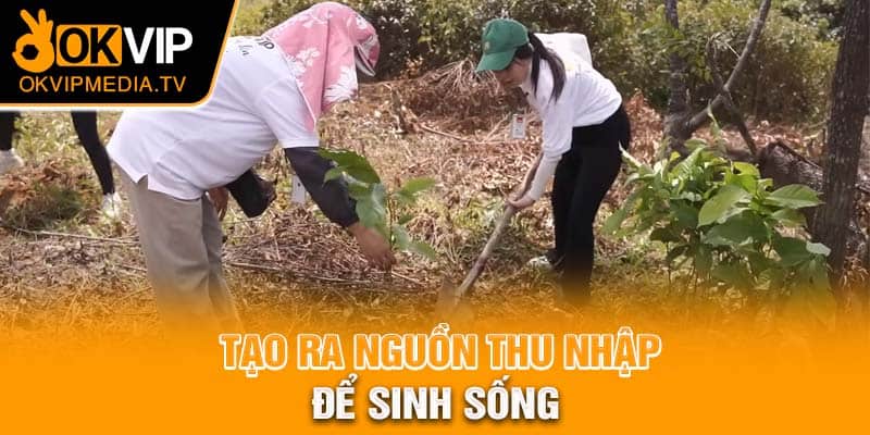 Tạo ra nguồn thu nhập để sinh sống