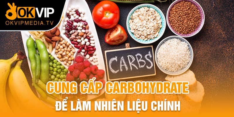 Cung cấp carbohydrate để làm nhiên liệu chính