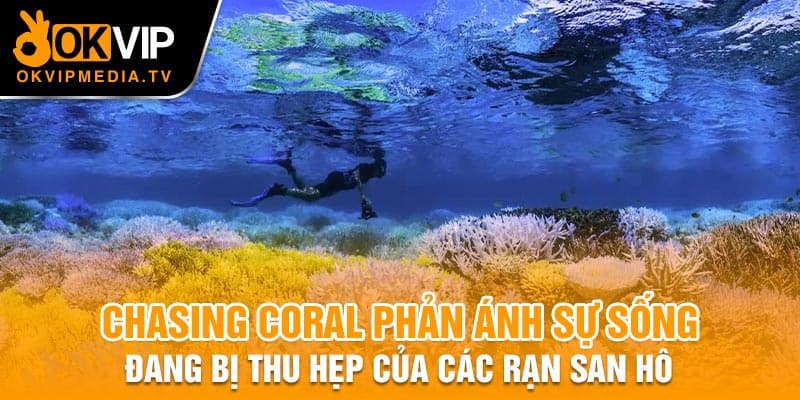 Chasing Coral phản ánh sự sống đang bị thu hẹp của các rạn san hô