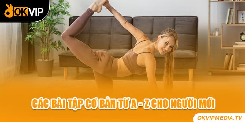 Các bài tập cơ bản từ A - Z cho người mới