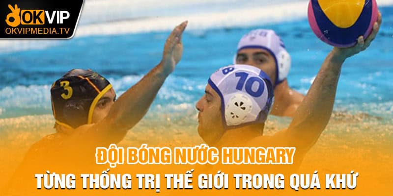 Đội bóng nước Hungary từng thống trị thế giới trong quá khứ