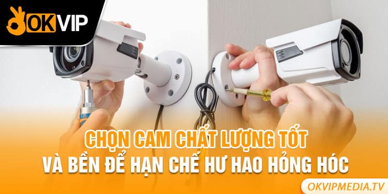 Chọn cam chất lượng tốt và bền để hạn chế hư hao hỏng hóc