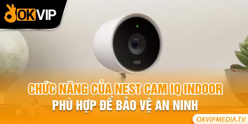 Chức năng của Nest Cam IQ Indoor phù hợp để bảo vệ an ninh