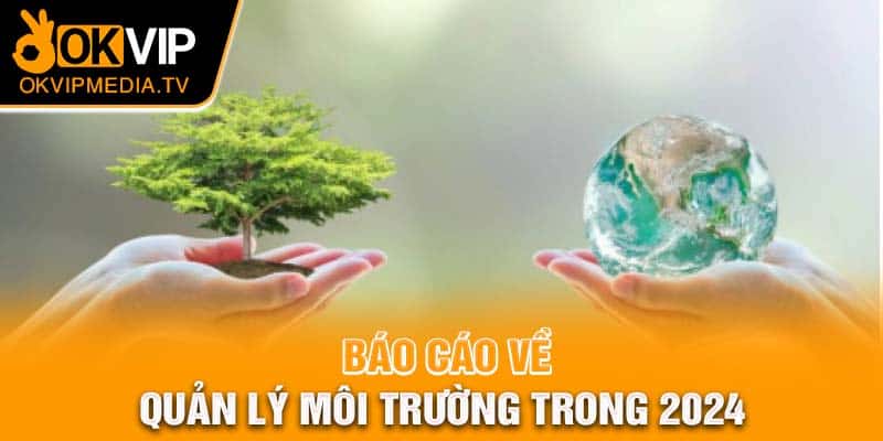 Báo cáo về quản lý môi trường trong 2024