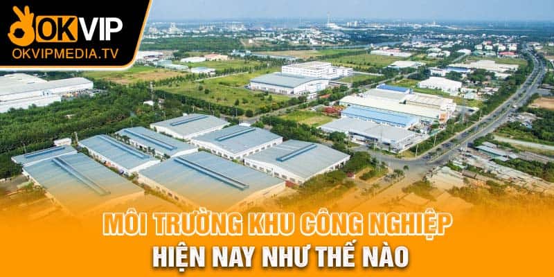 Môi trường khu công nghiệp hiện nay như thế nào