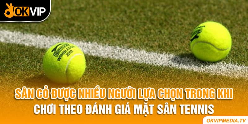 Sân cỏ được nhiều người lựa chọn trong khi chơi theo đánh giá mặt sân tennis