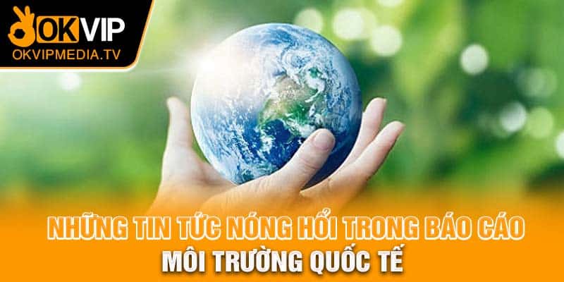 Những tin tức nóng hổi trong báo cáo môi trường quốc tế