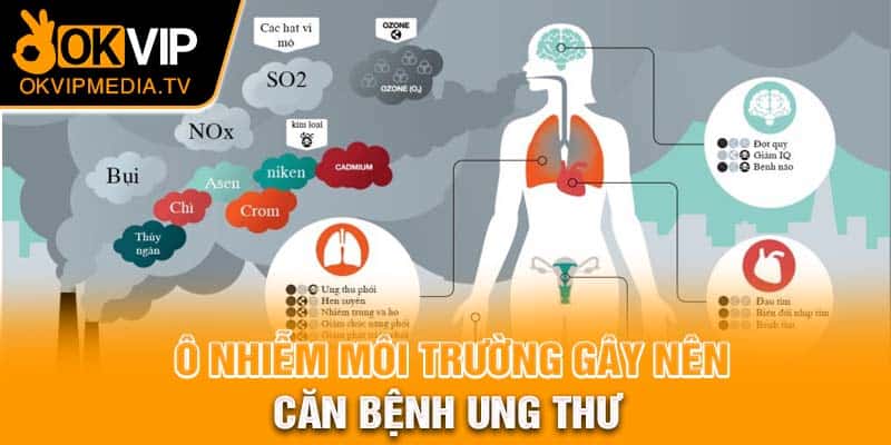 Ô nhiễm môi trường gây nên căn căn bệnh ung thư 