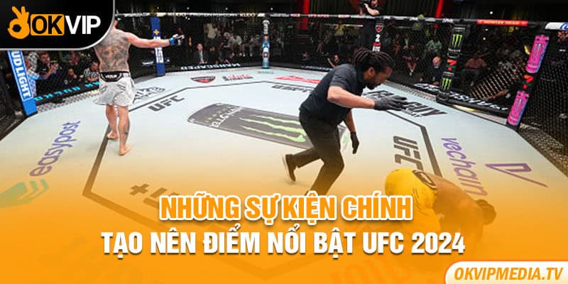 Những sự kiện chính tạo nên điểm nổi bật UFC 2024