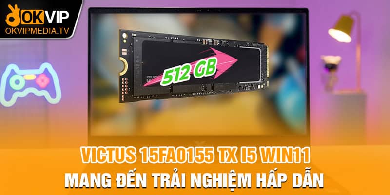 VICTUS 15fa0155 TX i5 Win11 mang đến trải nghiệm hấp dẫn