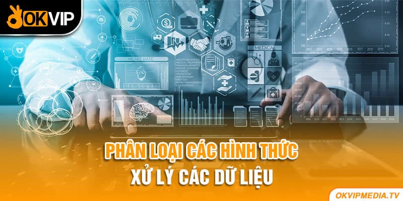 Phân loại các hình thức xử lý