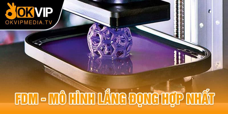 FDM - Mô hình lắng đọng hợp nhất