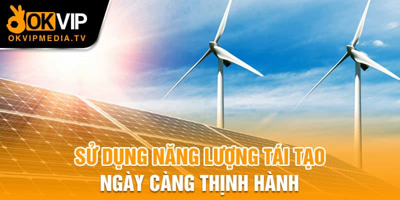 Sử dụng năng lượng tái tạo ngày càng thịnh hành