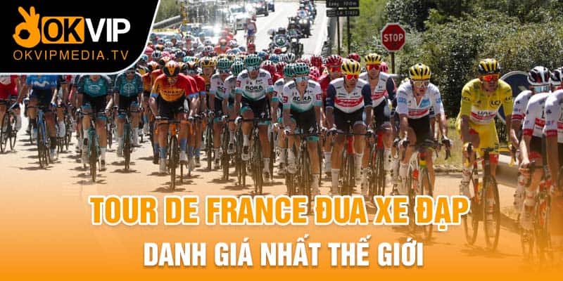 Tour De France đua xe đạp danh giá nhất thế giới