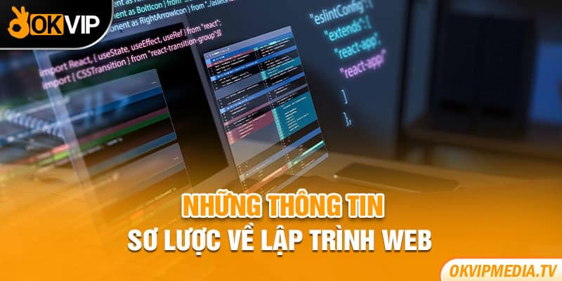 Những thông tin sơ lược về lập trình Web